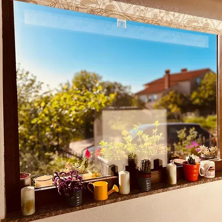 House With Garden And Terrace Apartamento Pula