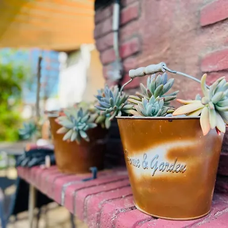 House With Garden And Terrace *