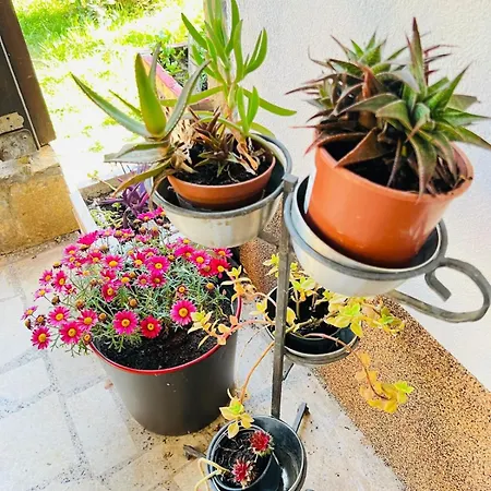 Apartment With Garden And Terrace * Pula