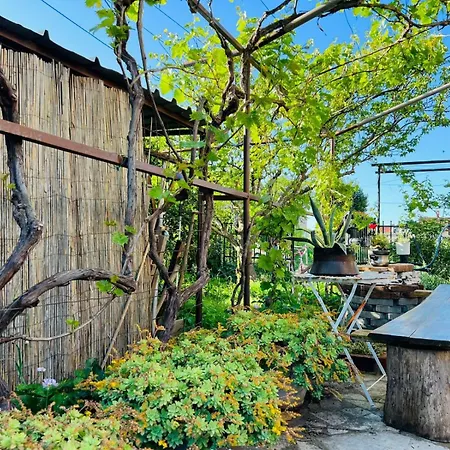 Apartment With Garden And Terrace Apartment Pula