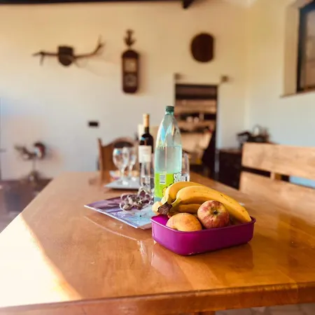 House With Garden And Terrace Apartamento