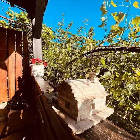 Apartamento Apartment With Garden And Terrace Pula