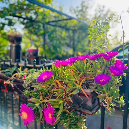 Apartment With Garden And Terrace Apartamento *